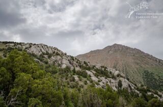 Джизакская область