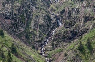 _DSC2461